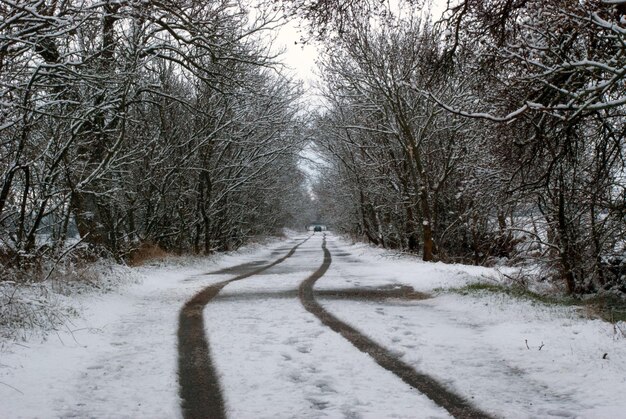 Photo snow covered road amidst trees during winter