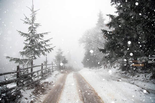 Снежная дорога среди деревьев зимой