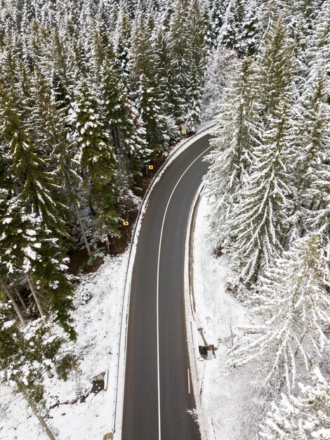 Photo snow covered road amidst trees