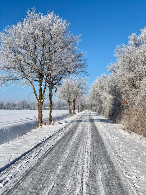 Snow covered road by trees against sky