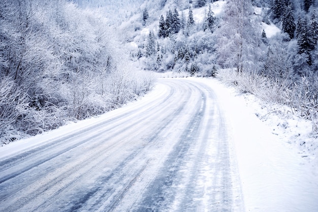 森の中の雪に覆われた道路