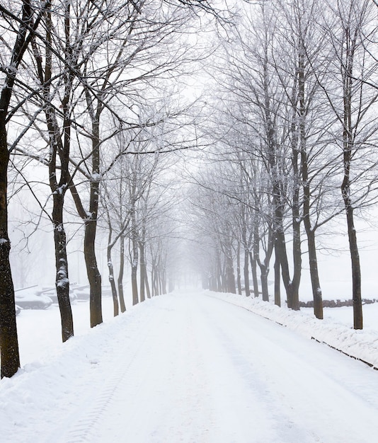 The snow-covered road in park in a winter season. at the left there are the tanks covered with snow