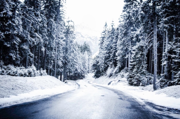 Snow covered road passing through forest