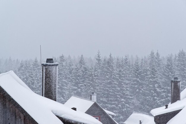 Photo snow covered roof against forest and sky