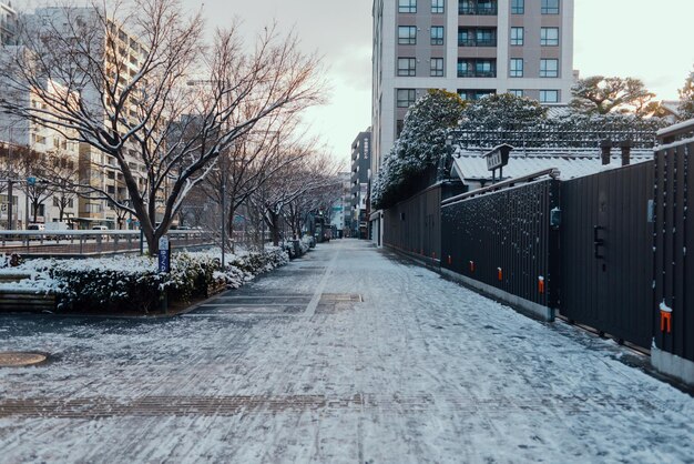 Foto strada coperta di neve in mezzo agli edifici della città