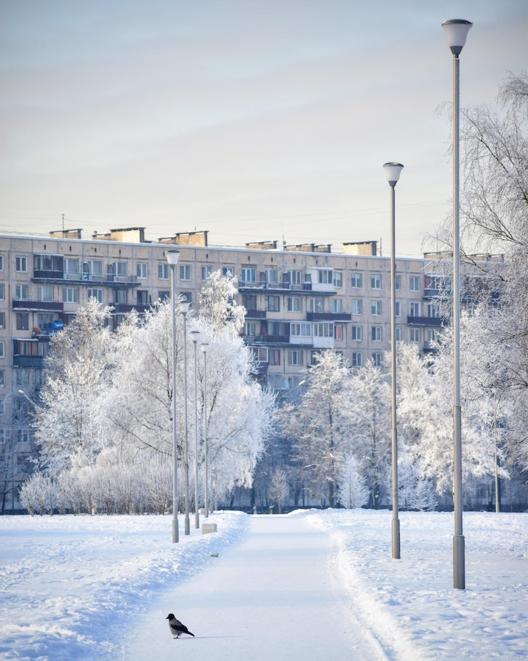 Фотография снежная улица среди зданий в городе