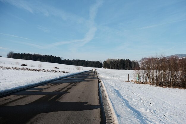 空に照らされた雪に覆われた木