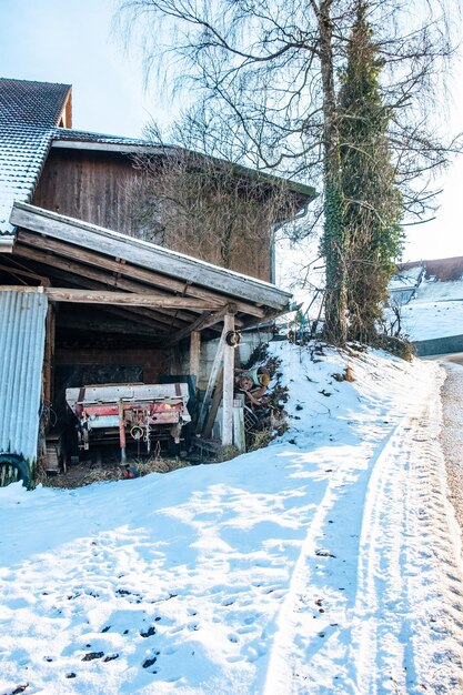 写真 空に照らされた雪に覆われた木