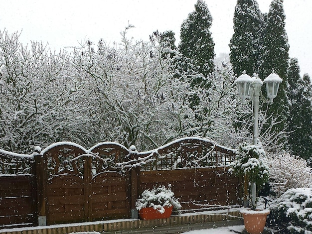 写真 空を背景に雪に覆われた木々