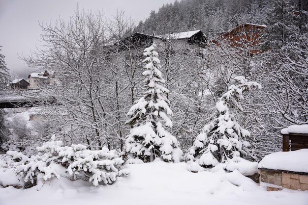 Photo snow covered trees and houses in winter in mountain