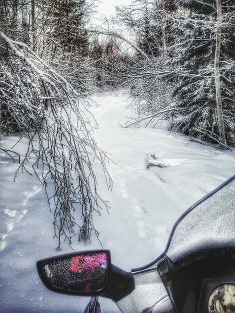 Foto alberi coperti di neve e strada