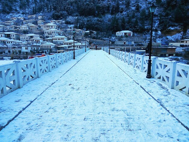 Foto alberi coperti di neve in inverno