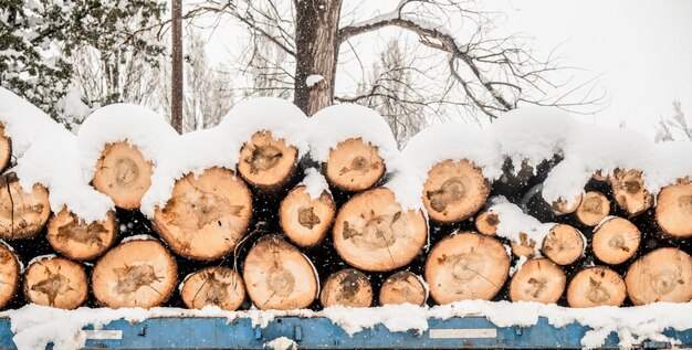 Snow-covered winter log pile