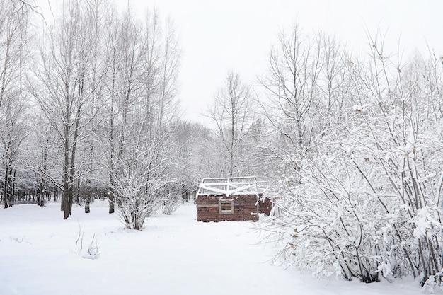 雪に覆われたウィンターパークとベンチ。アヒルやハトに餌をやる公園や桟橋。雪の中を散歩する家族が秋の公園を覆っていました。