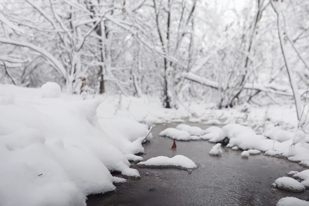 雪に覆われたウィンターパークとベンチ。アヒルやハトに餌をやる公園や桟橋。雪の中を散歩する家族が秋の公園を覆っていました。