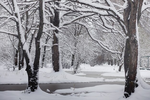 雪に覆われたウィンターパークとベンチ。アヒルやハトに餌をやる公園や桟橋。雪の中を散歩する家族が秋の公園を覆っていました。