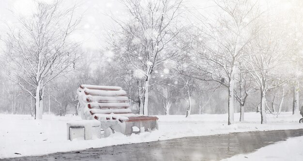 Snow-covered winter park and benches. Park and pier for feeding ducks and pigeons. The first snow covered the autumn park.