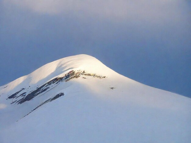 snow covered