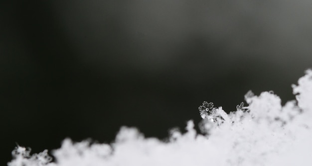 花のパノラマのような雪の結晶