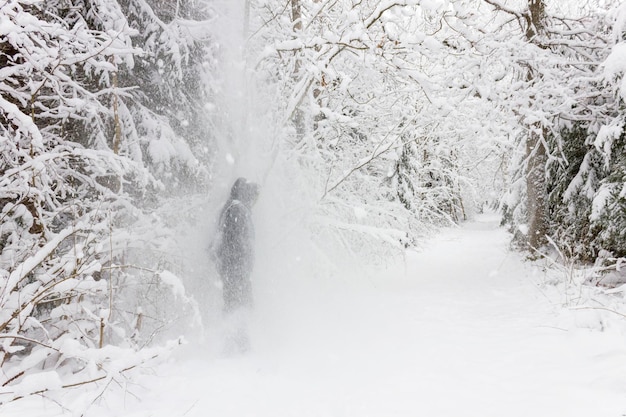 森の木の下に立っている男に雪が降る 冬の背景