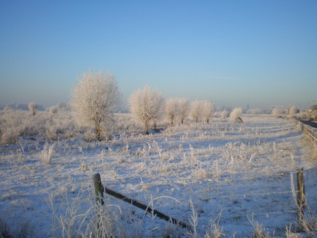 Snow on field against clear blue sky