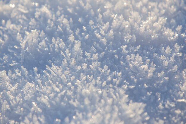 夜明けの太陽の光線の雪原