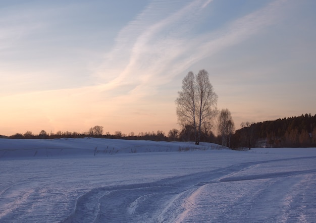 Snow field at sunset