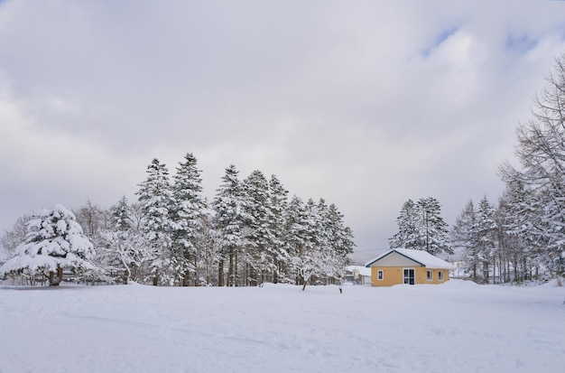 Snow fields with house on cloudy day