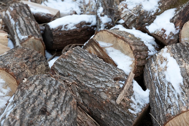 Snow on firewood in winter season