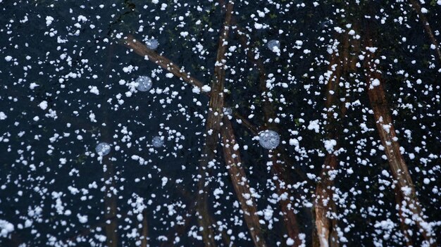 Snow flakes on the ice surface