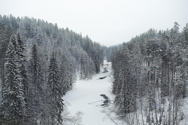 雪霧風景降雪/冬の風景寒い季節の天気、冬の形の自然、外は霧