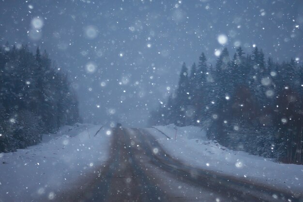 겨울 도로 풍경의 눈과 안개 / 계절 날씨의 전망 위험한 도로, 겨울 외로운 풍경
