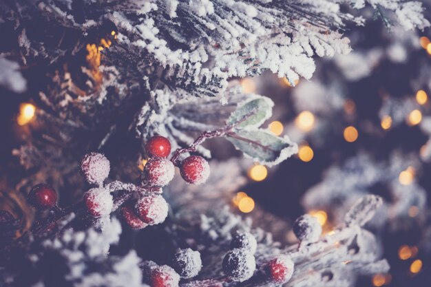 雪の曇らされたクリスマスツリーとお祝いデフォーカスボケと赤いヒイラギの果実