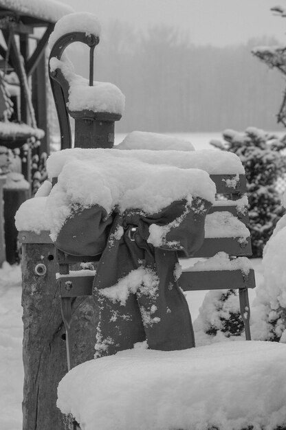 snow in the garden