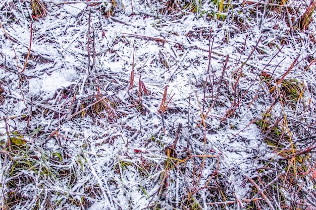 Snow on the grass texture.