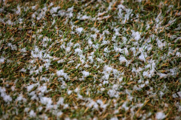 Snow on green grass Frozen nature in winter time above view