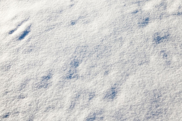 snow on the ground