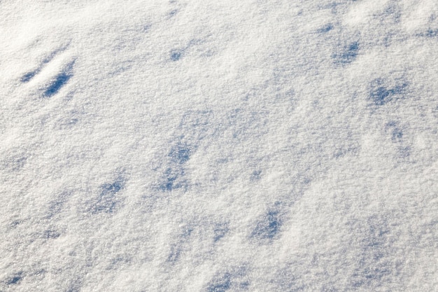 地面に雪