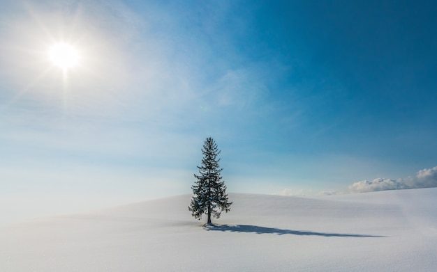 snow hill at Biei, Hokkaido