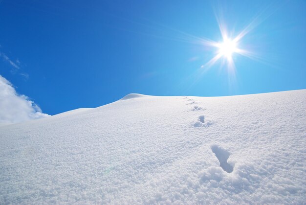 Foto colline innevate composizione della natura