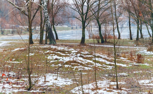 Snow and ice melting on a lake in the forest spring