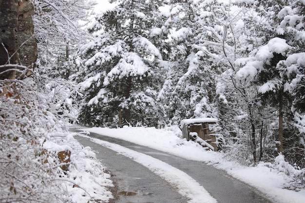 Photo snow landscape  trabzon  turkey