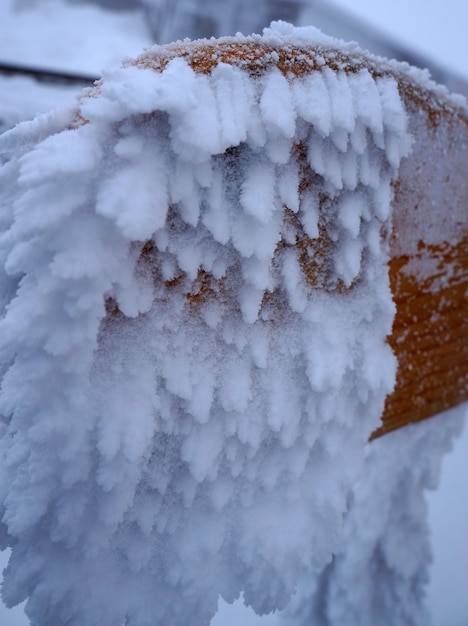 Snow macro on wood