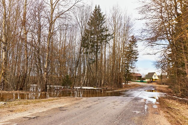 Foto scioglimento della neve in primavera grandi pozzanghere nella foresta flusso attraverso la strada di campagna suolo umido cambio di stagione paesaggio rurale di marzo