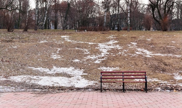 Снег тает в городском парке со скамейкой