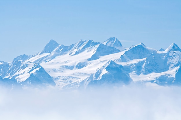 照片雪山皮拉图斯山苜蓿