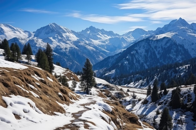 Snow mountain view in winter from forest side