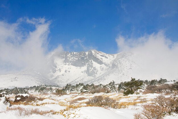 Snow mountain