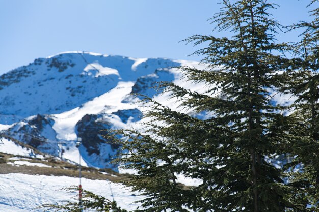 Montagna di neve