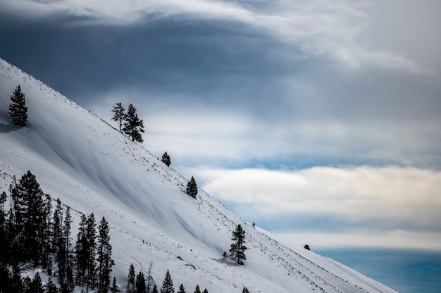 Foto montagne di neve durante l'inverno